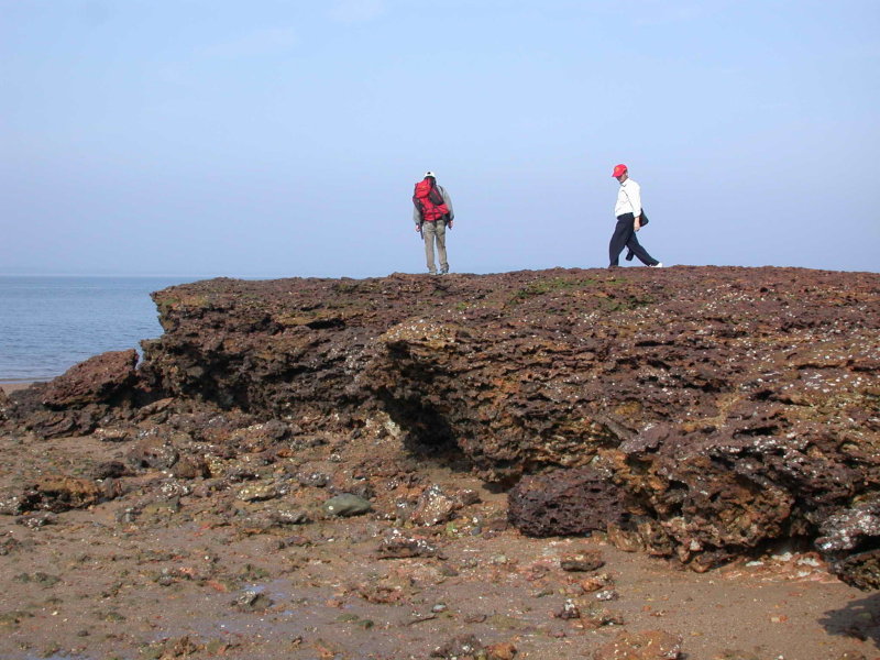 圖3. 烈嶼北方海岸的層狀「貓公石」