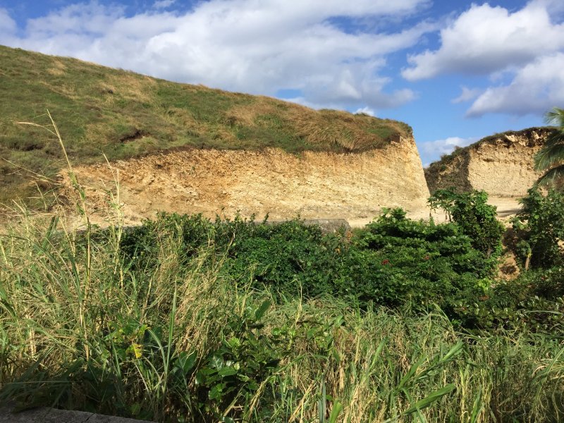 採石場的石灰岩露頭，岩性和恆春以及琉球的更新世石灰岩很類似。