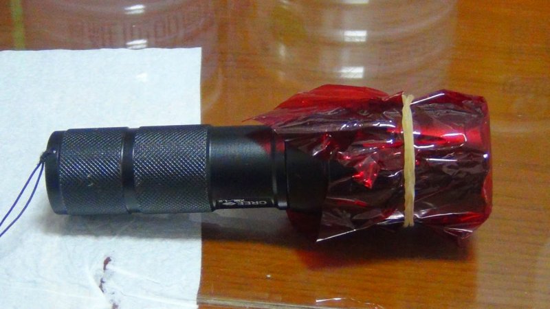 用紅色玻璃紙包住手電筒代替也可以。