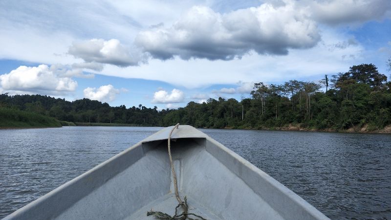 京納巴當岸是山打根著名的生態觀光景點，遊河觀賞野生動物是重點活動。