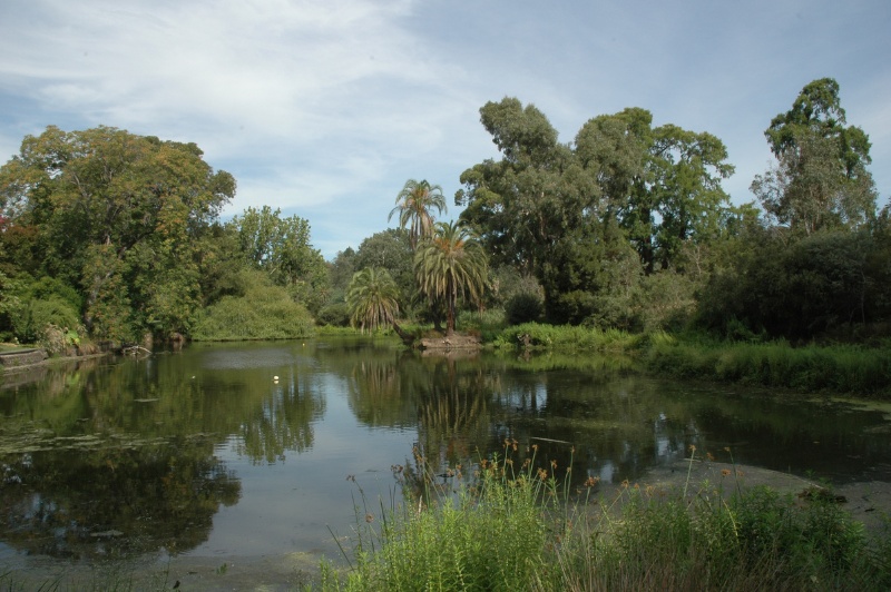 占地遼闊的湖泊濕地，展示許多珍稀的水生植物。