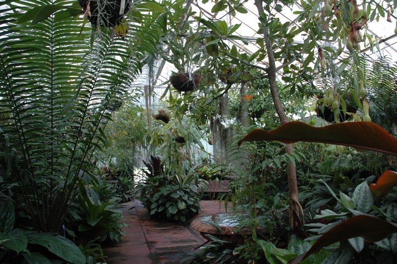 蒐藏與展示並用的熱帶溫室，展示許多來自世界各地的雨林植物。