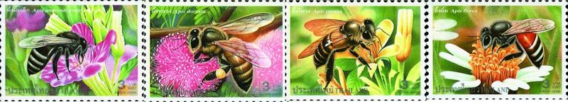泰國所發行的蜜蜂郵票(從左至右：黑小蜜蜂、巨型蜜蜂、東方蜜蜂、小蜜蜂) 。