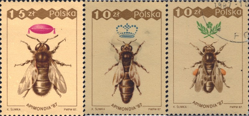 波蘭所發行的蜜蜂郵票