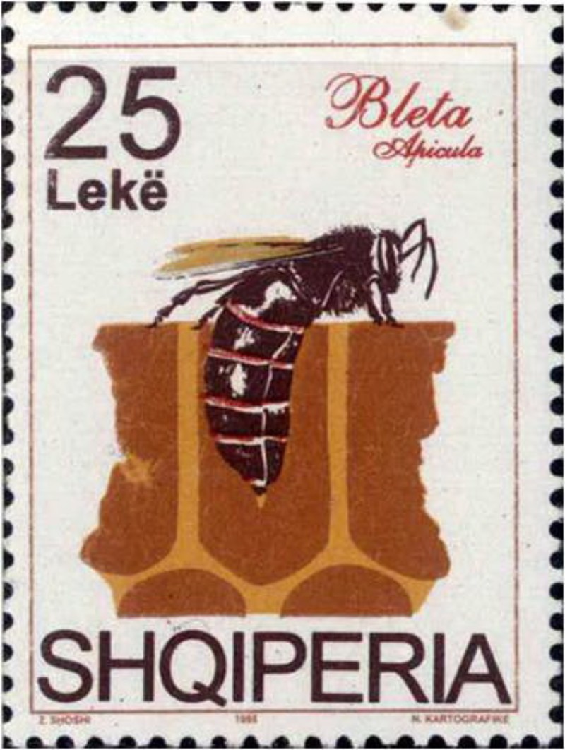 1995年阿爾巴尼亞發行的蜜蜂郵票上，腹部深入巢房內的蜂王正在產卵。
