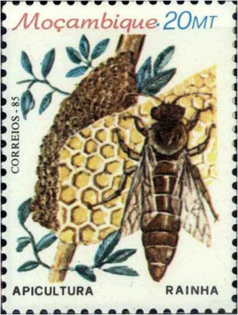 描述蜂王正釋放費洛蒙的莫三比克郵票(1985年)
