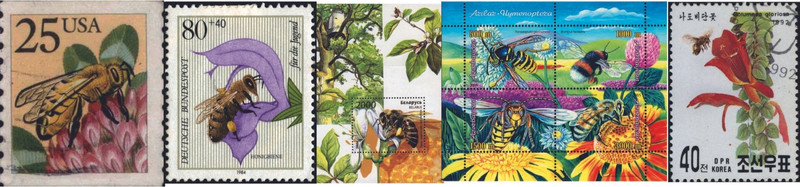 美國、德國、白俄羅斯、亞塞拜然及韓國所發行的蜜蜂訪花採蜜郵票。