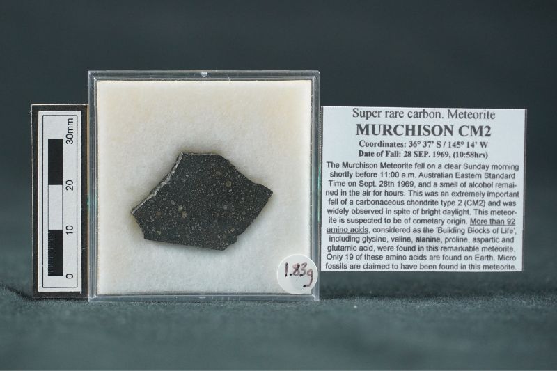 Murchison碳質球粒隕石，2.5x2x0.2公分。