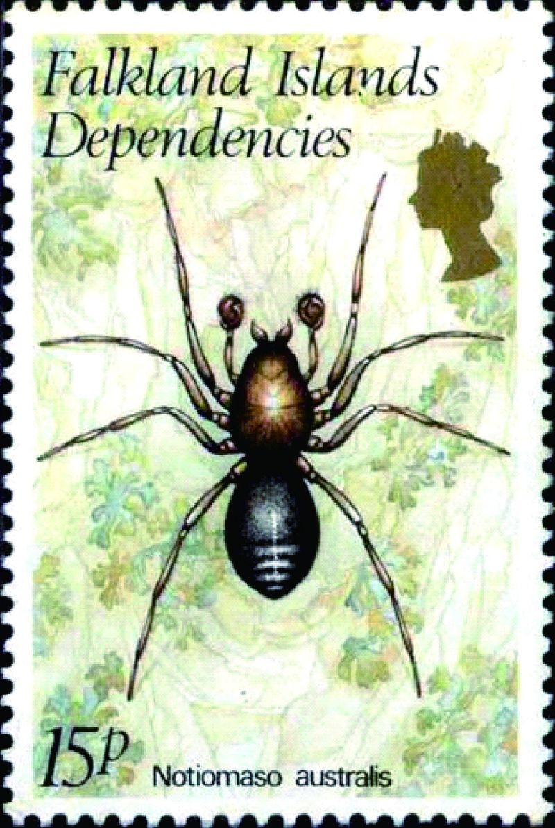 1982年福克蘭群島屬地發行的蜘蛛郵票(顧世紅 提供)