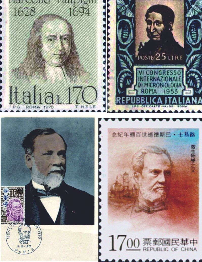 義大利所發行的巴希紀念郵票以及法國和臺灣中華郵政發行的巴斯德紀念郵票