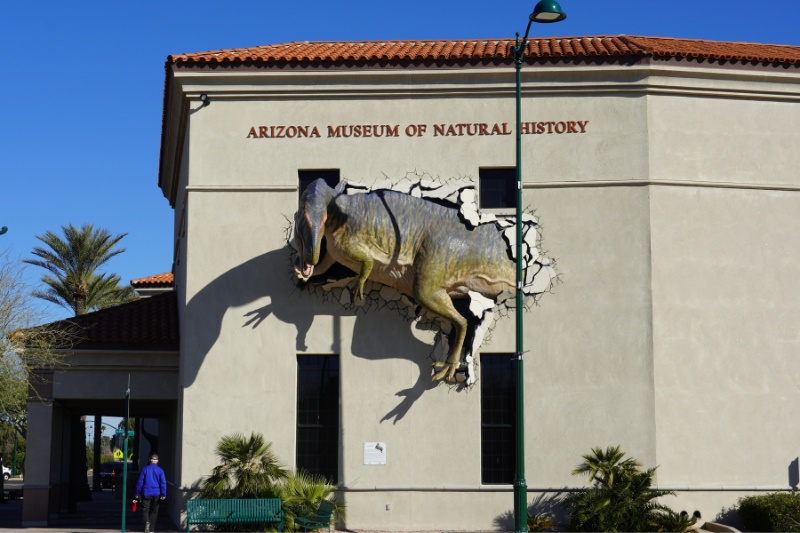 位於美國亞利桑那州梅薩(Mesa)的亞利桑那州自然史博物館。牆上有一隻破牆而出的高棘龍(Acrocanthosaurus)複製品，該類恐龍的化石主要發現於奧克拉荷馬州、德克薩斯州與懷俄明州，是最大型的獸腳類恐龍之一。