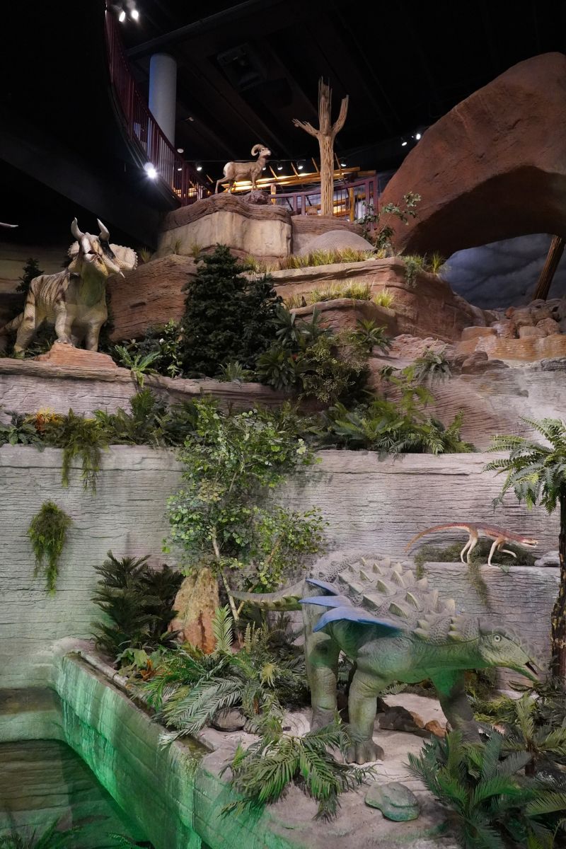 亞利桑那州自然史博物館的恐龍谷展示區，在不同的角落擺放著不同的滅絕或現生物種，由下至上分別是由較古老的生物一直展示到現生的生物。每小時會有兩次真正水流的瀑布傾流而下，非常吸晴。