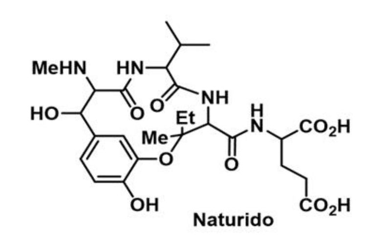 Naturido的化學結構(顧世紅 提供)