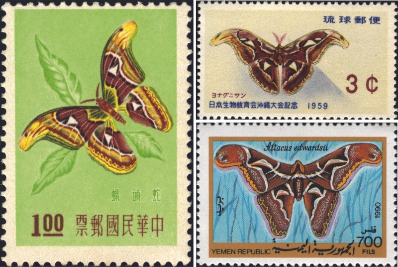 臺灣中華郵政、日本沖繩及葉門發行的皇蛾郵票。