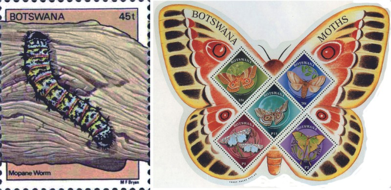 波札那在1991年發行的天蠶蛾幼蟲郵票及相關天蠶蛾成蟲郵票小全張郵票