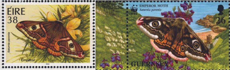 英國愛爾蘭(左)及根西島(右)所發行的皇帝蛾郵票。