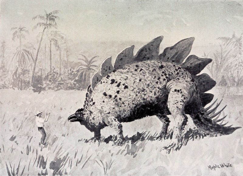 「福爾摩斯」的作者柯南˙道爾爵士(Sir Arthur Conan Doyle，1859-1930)在1912年創作的〈失落的世界〉(“The Lost World”)，是最早出現恐龍的小說，日後被發展成電影、廣播、電視劇、遊戲等大眾文化型式。劍龍是馬許所發表，他在1891年的骨架復原圖中將骨板畫成單排排列，這個錯誤也被插畫家沿襲，呈現在小說中。(Rountree H, 1912/ Wikimedia CC)