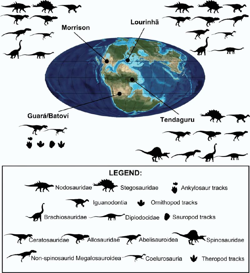 莫里遜層、洛里尼彥層與天達古乎層的恐龍相在科級與以上階層有高度共通性，在種級也有一些。巴西的瓜拉層(Guará Formation)和烏拉圭的塔垮倫波層的巴投維段(Tacuarembó Formation, Batoví Member)近年也發現各類恐龍足跡化石，可能有共通成員存在，顯示晚侏羅世的恐龍並未因盤古大陸裂解而產生明顯隔離分化。(Francischini H et al, 2017/ Historical Biology CC)