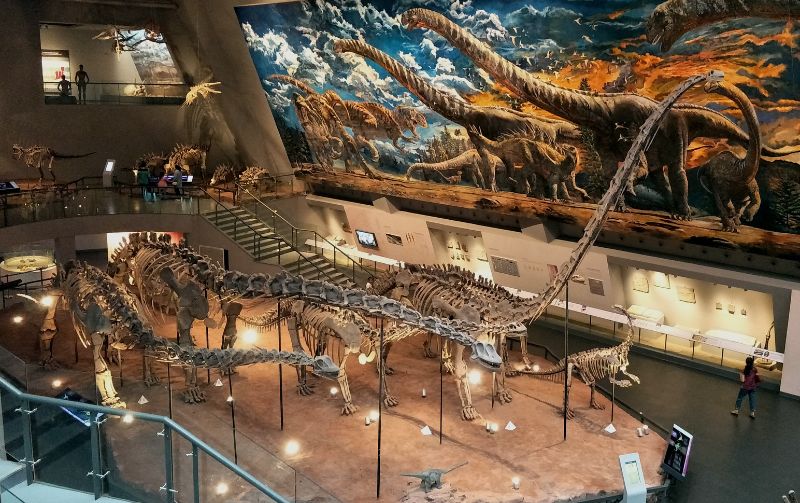 重慶自然博物館的恐龍廳一瞥。中央高舉頭部的是峨眉龍(Omeisaurus)，一旁有長頸的馬門溪龍(Mamenchisaurus)與較小的蜀龍(Shunosaurus)。壁畫為下沙溪廟層的生態想像圖，巨大的馬門溪龍底下有一隻劍龍類的沱江龍(Tuojiangosaurus)，左側是兩隻大型掠食獸永川龍(Yangchuanosaurus)。