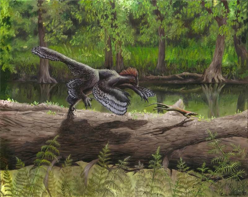 赫氏近鳥龍「伸手」追捕獵物想像圖。(Dinopedia/ Famdom Wiki CC)