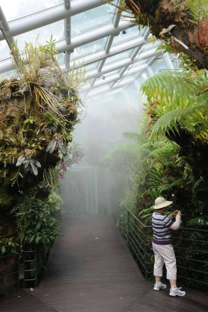 勝科冷房（Sembcorp Cool House）：模擬熱帶高原海拔1000公尺至2000公尺的環境，展示熱帶高原蘭科植物。（圖/胡維新）