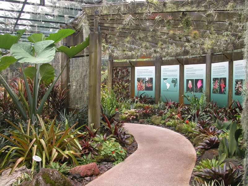 婉平麥尼斯鳳梨館（Lady Yuen Peng McNeice Bromeliad）的鳳梨科植物展示。（圖/胡維新）