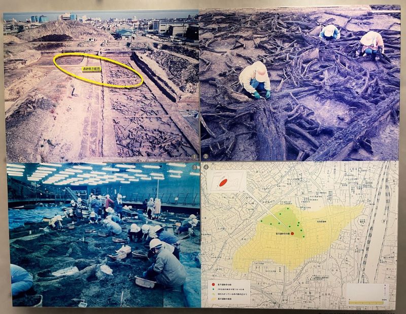 遺跡保存館內介紹挖掘歷史的部分。左上：1988年調查照片；右上：1994年調查照片；左下：1996年調查照片；右下：黃色範圍為富沢森林遺跡的範圍，紅點為富沢遺跡保存館的位置，綠色為保存館園區的範圍。（圖 / 鍾令和）