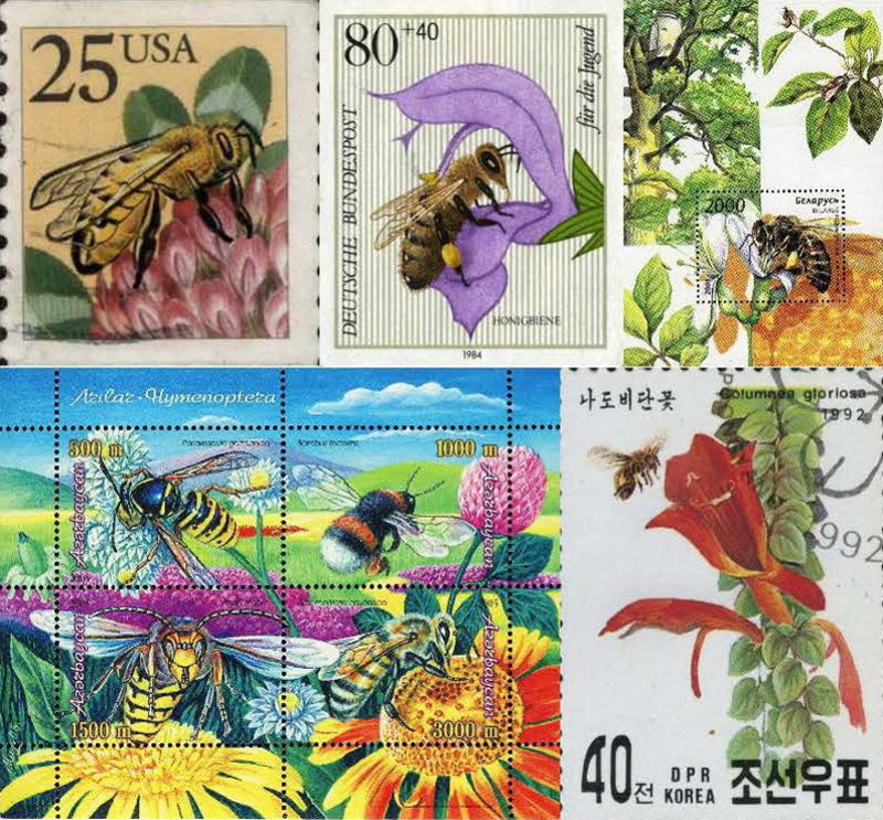 世界各國所發行的蜂類郵票(上圖自左向右：美國、德國及白俄羅斯；下圖自左向右：亞塞拜然及韓國)。