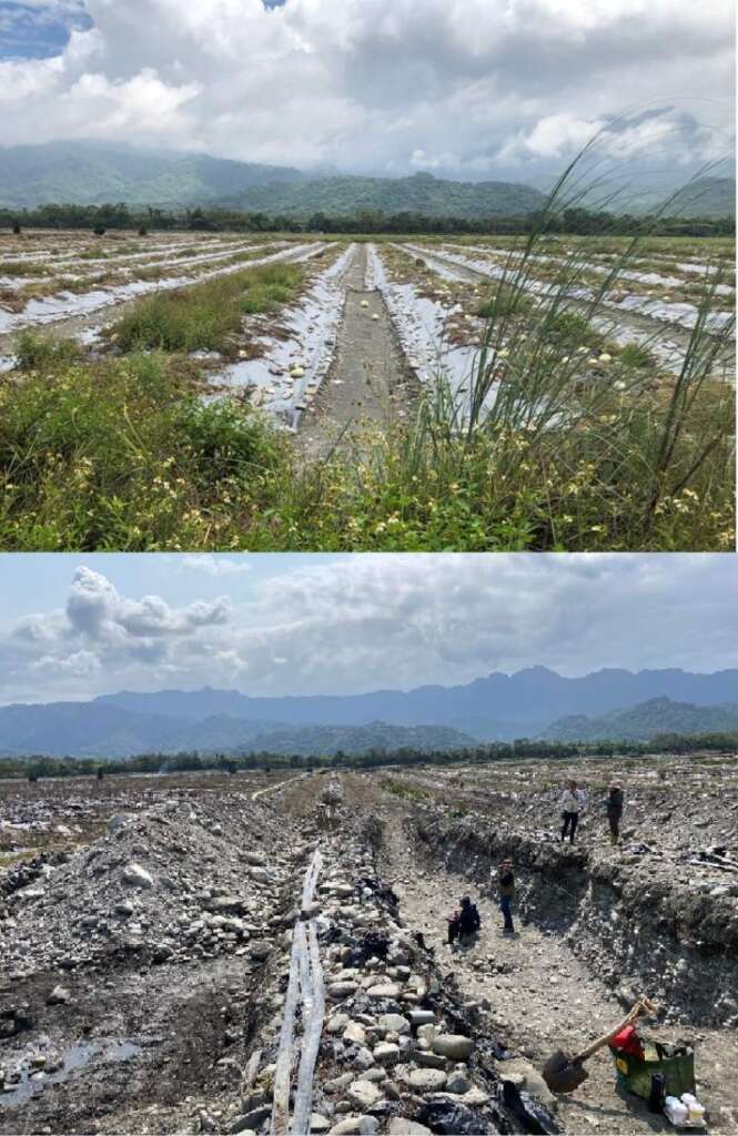 上圖：地表破裂切的西瓜田，呈現斷層左移的現象（圖 / 鍾令和）；下圖：在地表破裂的位置進行斷層槽溝開挖。（資料來源：花蓮玉里阿強西瓜FB粉絲專頁https://www.facebook.com/YuliXigua）