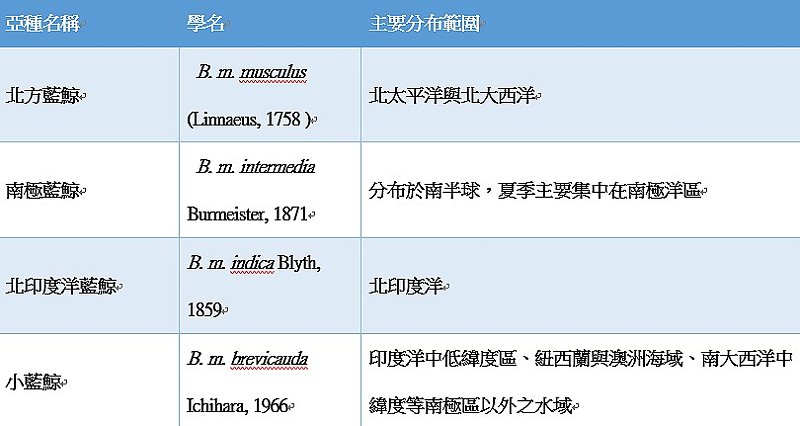 根據海洋哺乳動物學會 2020 年名錄，藍鯨 Balaenoptera musculus 

( Linnaeus, 1758 ) 的亞種分類與其主要分布範圍