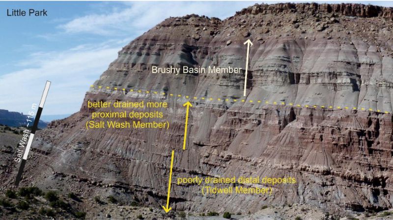 莫里遜層在科羅拉多州Little Park附近的露頭，由上到下顯現灌叢盆地段、鹽洗段和提德威爾段3個沉積層。左方比例尺顯示鹽洗段厚度約115公尺。灌叢盆地段與下兩層有明顯差異。(Owen A et al, 2015/ Journal of Sedimentary Research CC)