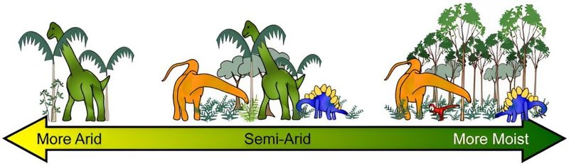根據氣候區和植食性恐龍組成所歸納出來的趨勢。越乾燥的環境多樣性越低，高位食葉性(high browser)蜥腳類是優勢物種；半乾燥的環境有較高的多樣性，不同高度食葉者並存，優勢物種不那麼明顯；越濕潤越有樹林環境，不利高位食葉者，但有利於小型恐龍躲藏覓食。綠色、橘色和藍色分別為高位、中位和低位食葉者，紅色是地面取食者(ground grazer)，後兩者多半是鳥臀類。肉食恐龍與氣候的相關性則不那麼明確。(Noto & Grossman, 2010/ PLoS One CC)
