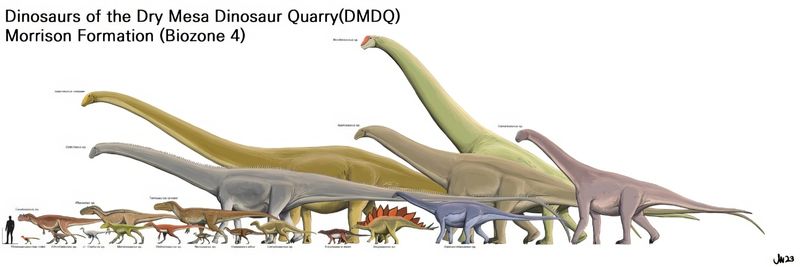 科羅拉多州的乾平頂山挖掘場是莫里遜層出土恐龍多樣性最高的地點。圖中顯示其中的19種各類恐龍。視覺化後可約略體會恐龍間的巨大差異，而蜥腳類巨龍們無疑最吸睛。(Jun-Hyeok Jang @palaeotaku, 2023，經同意非商業用途使用)