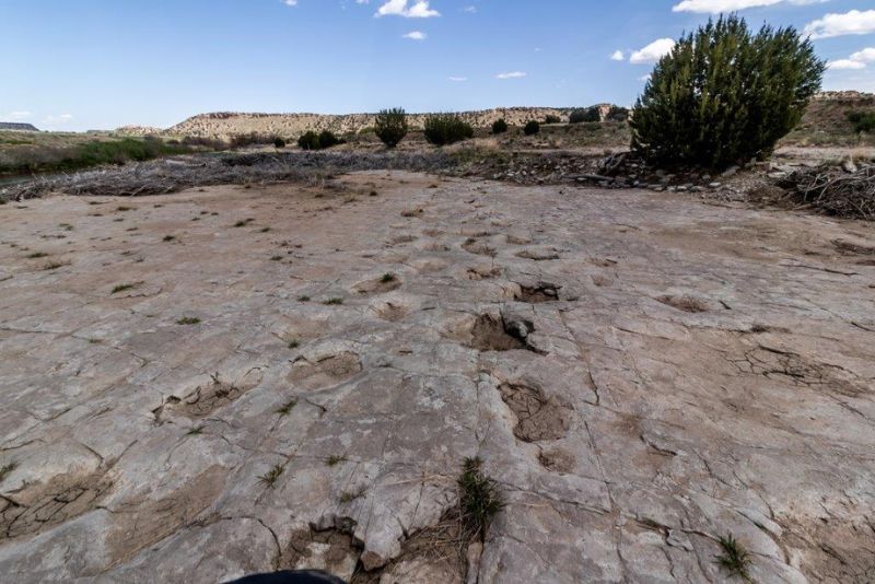 科羅拉多州東南部科曼奇國家草原(Comanche National Grassland)的前哨線峽谷煉獄河(Picket Wire Canyonland, Purgatoire River)有美國最大的恐龍足跡遺址，分布著上百條恐龍足跡與約1900個足印。莫里遜層沉積時的古環境為半鹹水湖，被暱稱為恐龍湖(Dinosaur Lake)，足印化石形成於湖岸或淺水區的石灰岩上，較深處則是具有水相化石的頁岩。(mark byzewski 2019/ Flickr CC)