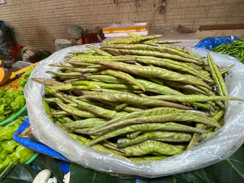 荷葉尖就是還未展開的嫩荷葉。(圖/王秋美)