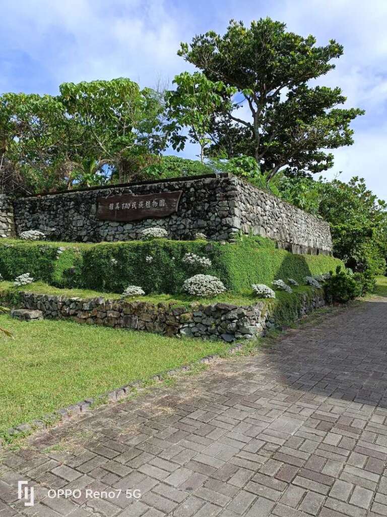 蘭嶼中學校園內的達悟族民族植物園，是本地學子學習傳統知識與傳承祖先生活智慧的重要場域。(圖/姚秋如)