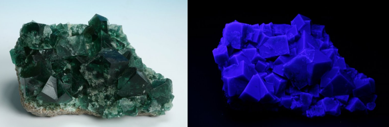 綠色透明的螢石具立方體晶形，在紫外線短波段照射下，會發出淡紫色螢光。產地：Frosterley, County Durham, England。尺寸：16*10*7公分。（圖／陳君榮）