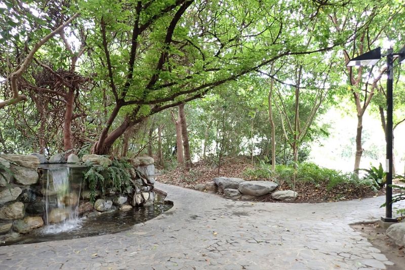 科博館植物園季風雨林區蛙池步道周邊景觀。(圖／廖仁滄)