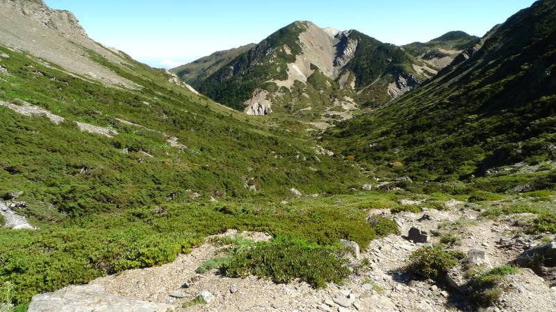 奇萊喜普鞋蘭性喜涼溫，在南湖大山有較穩定的族群。