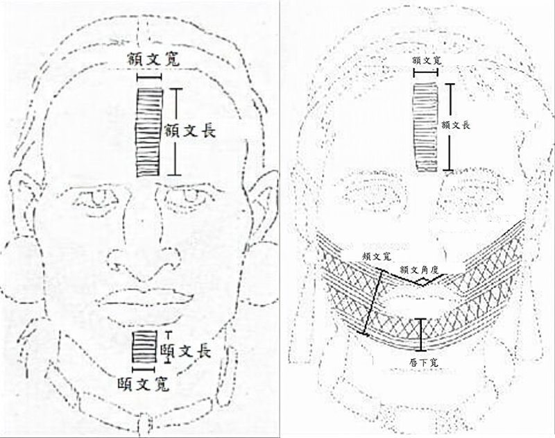 左：男文面圖形連續變項；右：女文面圖形連續變項。