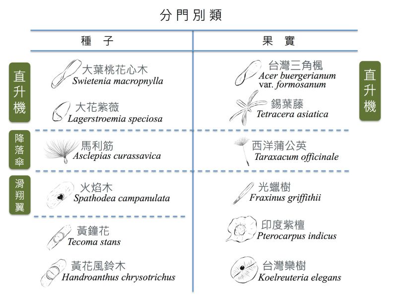 多元的風力傳播類型