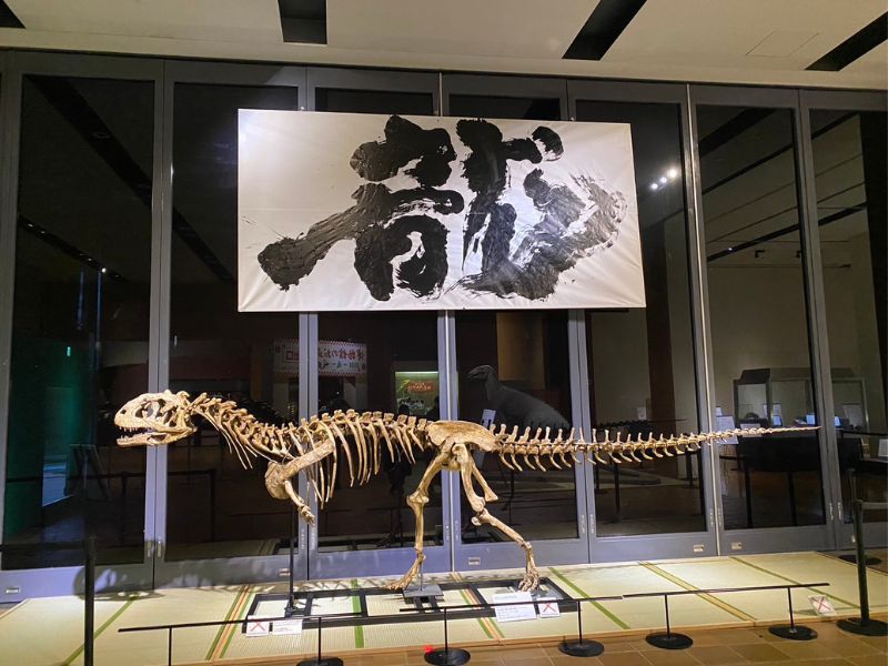 日本北九州市自然史歷史博物館的龍年大展。(圖/張鈞翔)