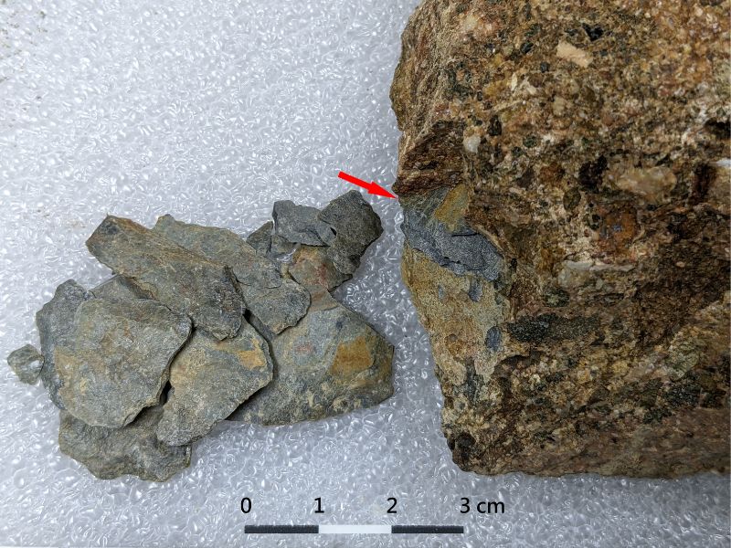右為含板岩礫(紅箭頭指示)的石灰岩；左為標本採集時被震碎的板岩。（圖／王士偉）