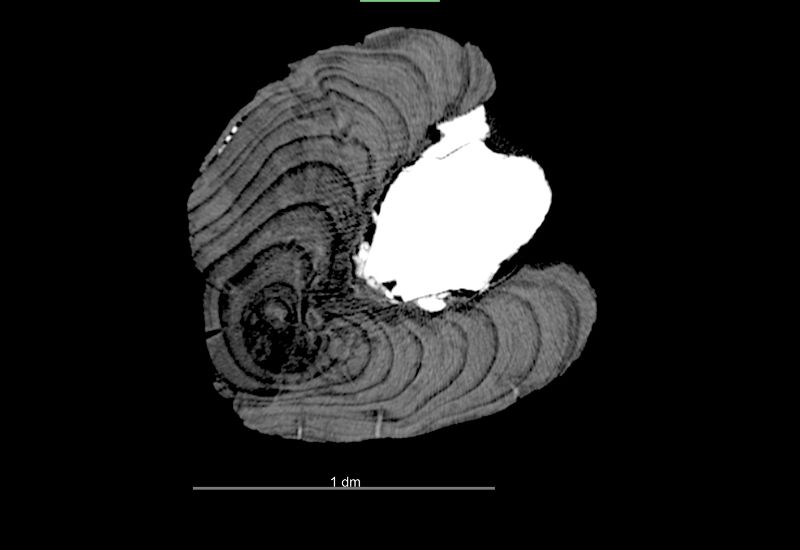 電腦斷層描橫截面 (影像白色部分為片岩，下方比例尺全長10cm) 。（圖／王士偉）