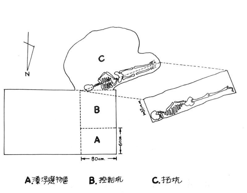 1973年龍泉村遺址出土的俯身葬圖 （取材自孫寶鋼 1977 插圖8）