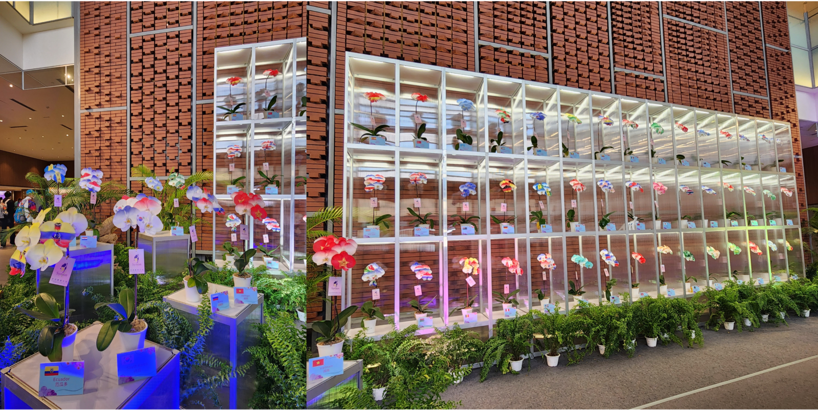 第23屆世界蘭花會議入口，以奈米噴染技術在蝴蝶蘭白色花瓣上噴出參與國家的國旗，歡迎各國蘭花愛好者一同參與盛會。（圖／陳盈君）