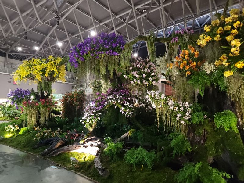 三年一會的全球蘭花盛事－世界蘭花會議及展覽