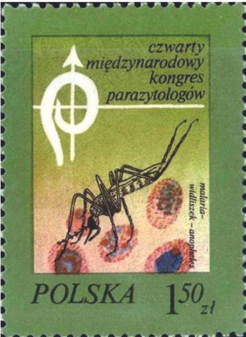 雌蚊透過吸血取得高品質的蛋白質，以滿足其卵巢發育的需要。波蘭所發行的郵票上，顯示蚊子正從血細胞中取得營養。