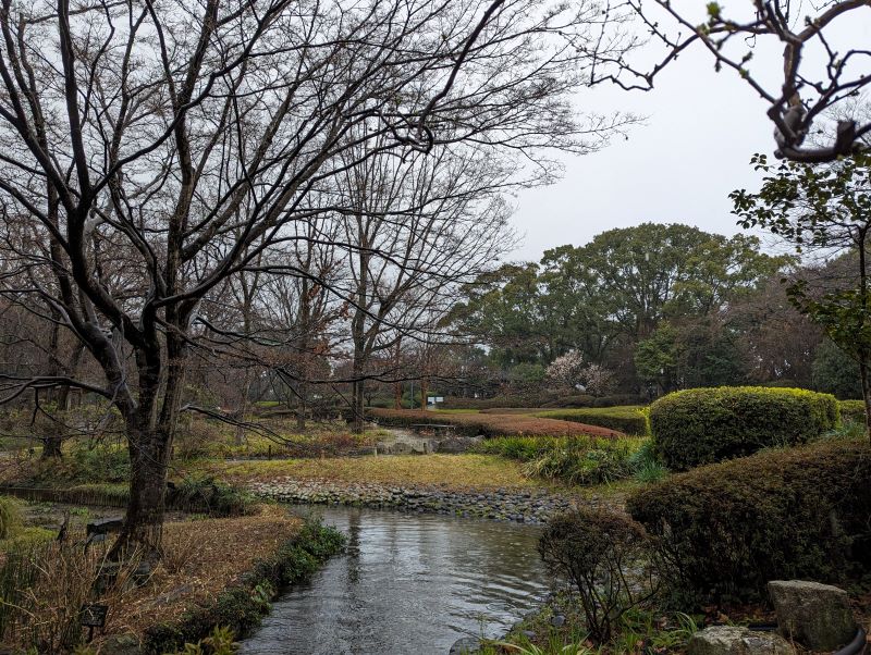 如詩畫般的水生植物園。（圖／胡維新）