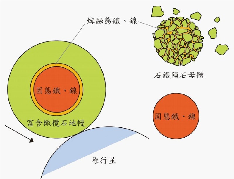 行星碰撞形成橄欖隕鐵示意圖。已分化之小行星與原行星強烈碰撞後，破碎的橄欖石與核心殘存的熔融態金屬重新混合，形成橄欖隕鐵母體。